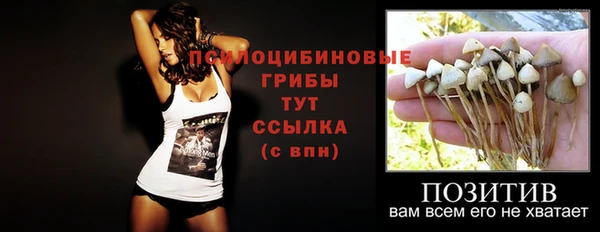 кристаллы Вяземский