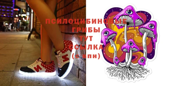 соль ск Вязники
