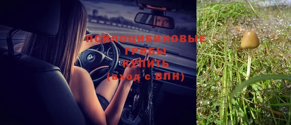 a pvp Вязьма