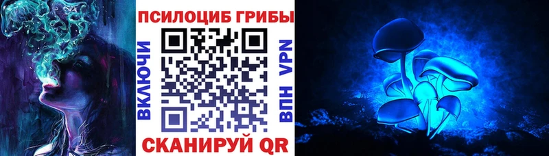 omg вход  Ахтырский  Псилоцибиновые грибы Psilocybe 